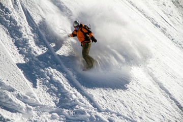 Snowboard freerider
