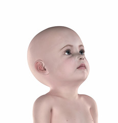 Toddler anatomical position isolated