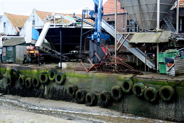 Oyster-culture
