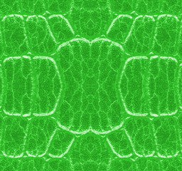 pattern of green snake skin closeup