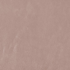 brown leather background.