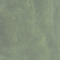 green leather texture
