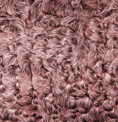 lamb fur texture closeup