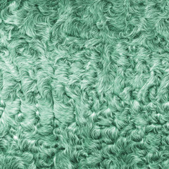 painted in green lamb fur texture closeup