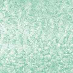 painted in green lamb fur texture closeup