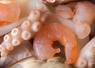 squid prawn octopus