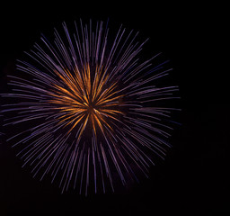 Colorful firework