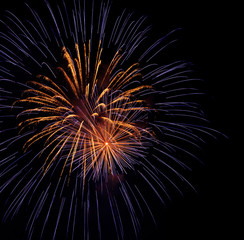 Obraz premium Colorful firework