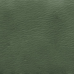 worn green leather texture,