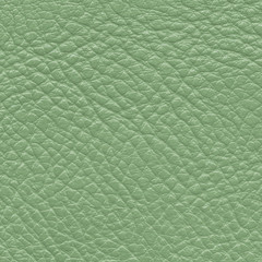 green leather texture closeup