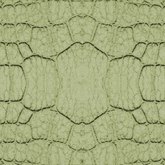 fragment of green snake skin  closeup