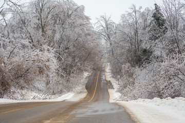 Snowy Road