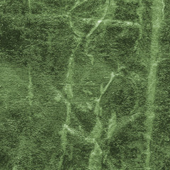 Fototapeta premium abstract green texture