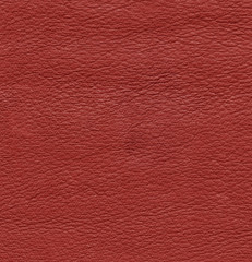 Fototapeta premium red leather texture