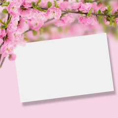 Postcard with fresh spring flowering tree and empty  place for y