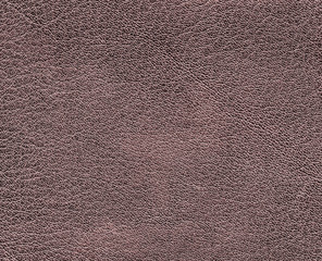 Fototapeta premium brown leather texture