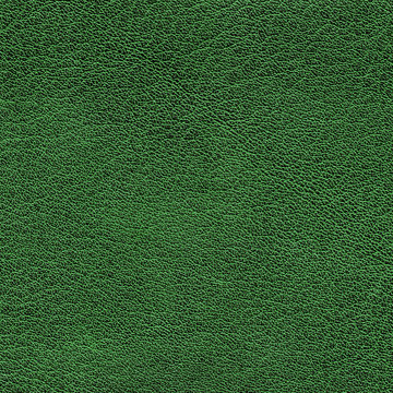 green  leather texture