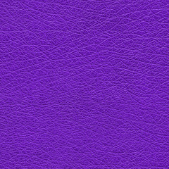 lilac leather texture closeup.