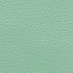 green leather texture