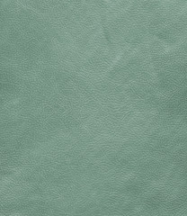 green leather texture