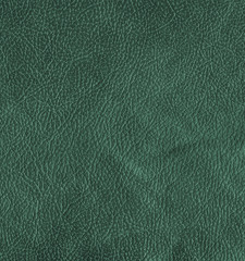 Fototapeta premium green leather texture