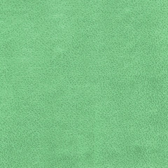 Fototapeta premium green leather texture