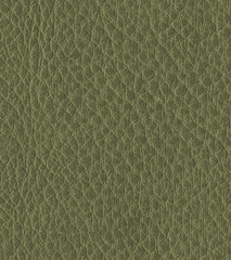 Fototapeta premium green leather