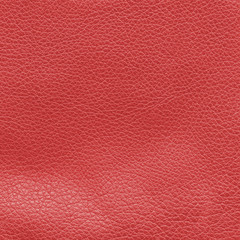 Fototapeta premium red leather texture closeup