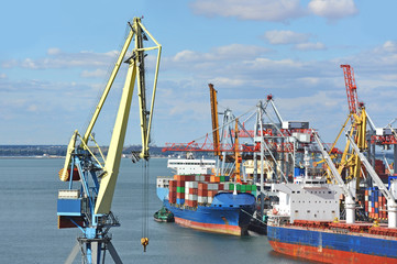 Fototapeta premium Container stack and ship under crane bridge