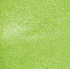green leather texture,