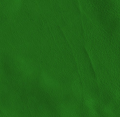 Obraz premium green leather texture