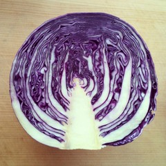 Obraz premium a purple cubbage section