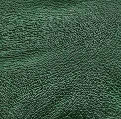 green crumpled leather texture