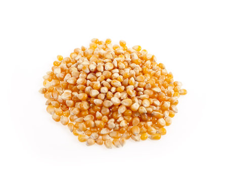 Pile of corn seeds on a white background
