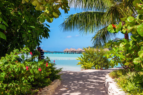 Holidays in Paradise