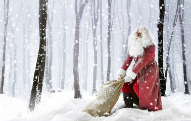 Santa Claus in Snow