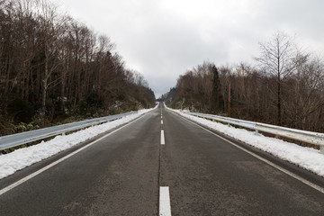 真っ直ぐの道