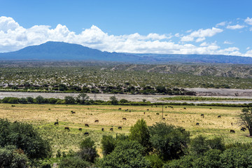 Obraz premium Famous Route 40 in Salta, Argentina.
