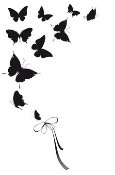 butterflies design