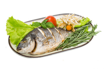 Grilled dorada