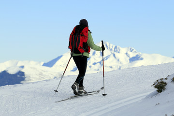 Fototapeta na wymiar Ski de fond, nordique