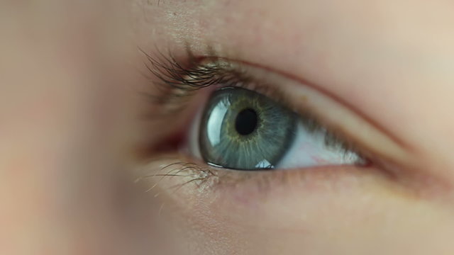 Human eye. Close-up