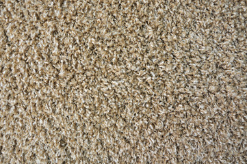 Carpet texture