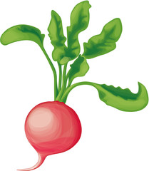One small radish with greens