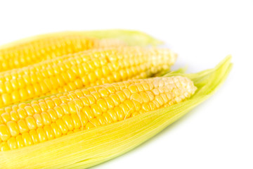 Fresh corn