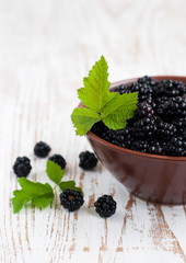 Bowl of Blackberries