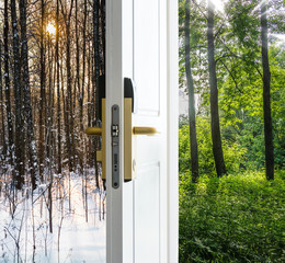 open door and a winter forest