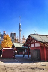 Tokyo Skytree view from senso ji temple 