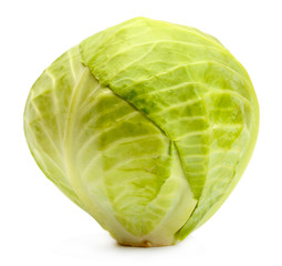 Obraz premium whole green cabbage isolated on white