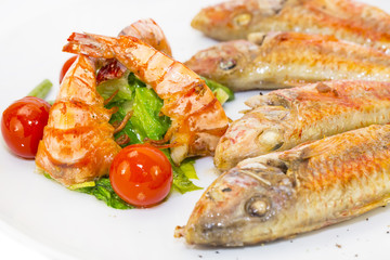 grilled fish with shrimp salad